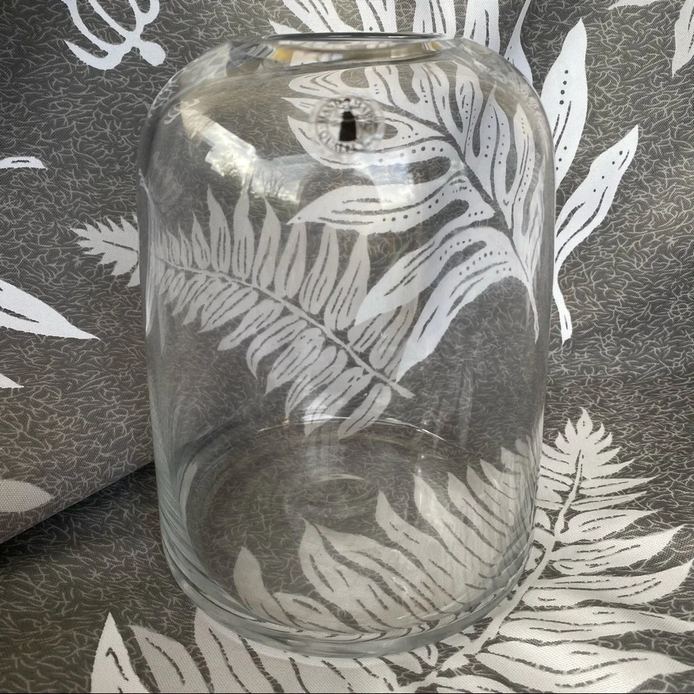 NEW Open Top Dome Glass Terrarium